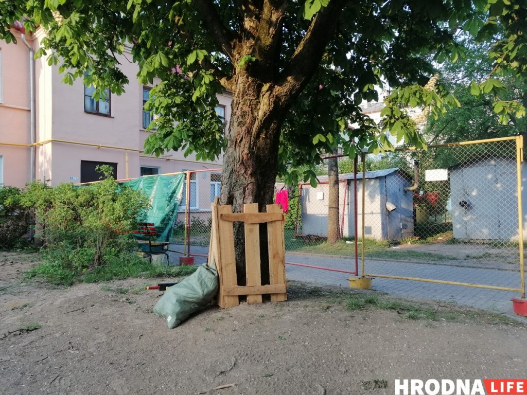 Відэафакт: Ламалі вішню экскаватарам, бо не было пілаў