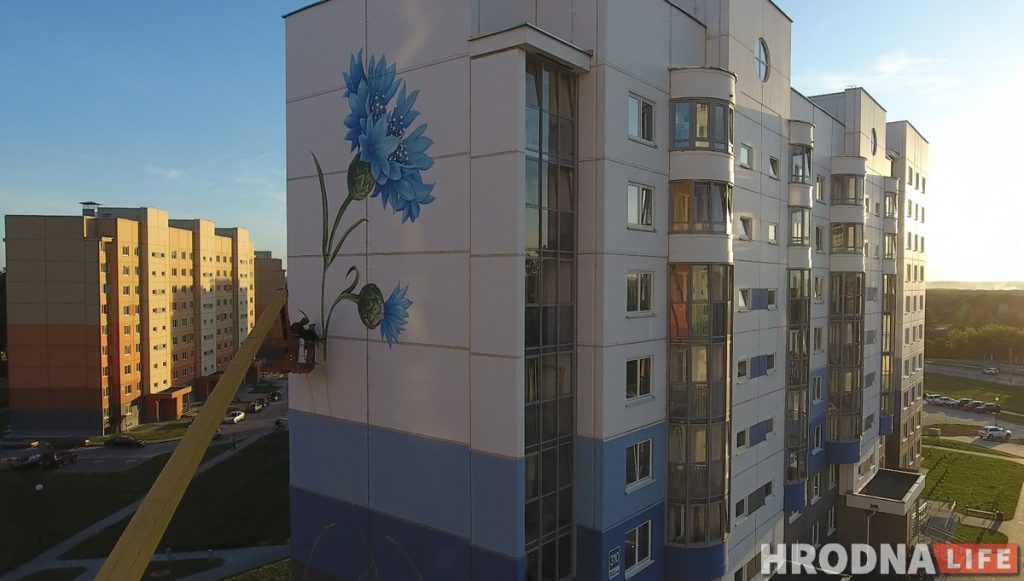 Сланечнік, валошка і мак: У Гродне «расцвітаюць» шматпавярховікі