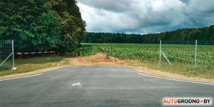 Там, дзе збілі зубра, на трасу выйшлі трое зубранятаў. Пільнуйцеся!