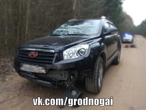 Кацяня-вандроўнік праехала праз усё Гродна ў маторным адсеку. Чым пагражае кот у машыне і як гэтага пазбегнуць?