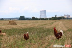 "Два тыдні хадзілі ў кафэ і крамы". Што ў Астраўцы кажуць пра 15 расіян з каранавірусам