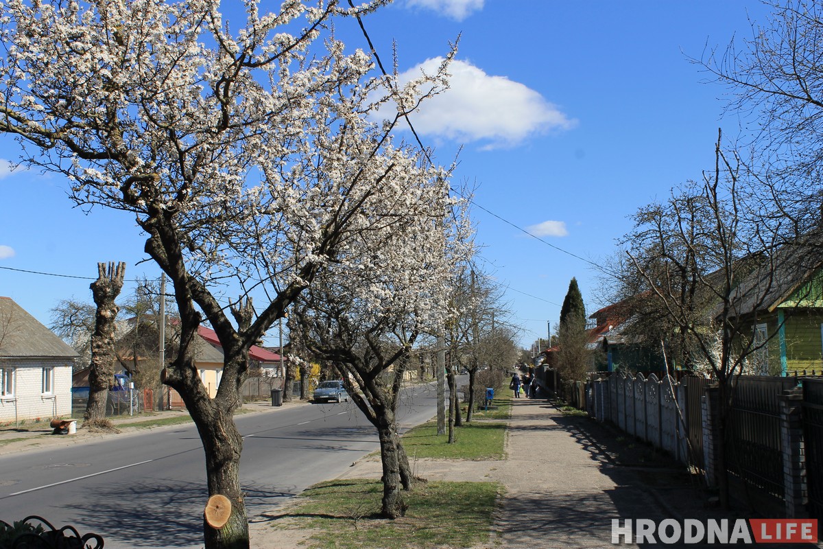 Топ-7 касмічных вуліц Гродна: куды пайсці на шпацыр у Дзень Касманаўтыкі