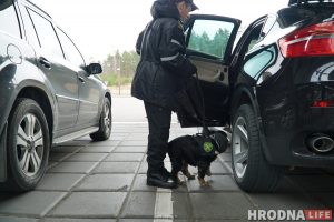 Праверка на беларускай мяжы.