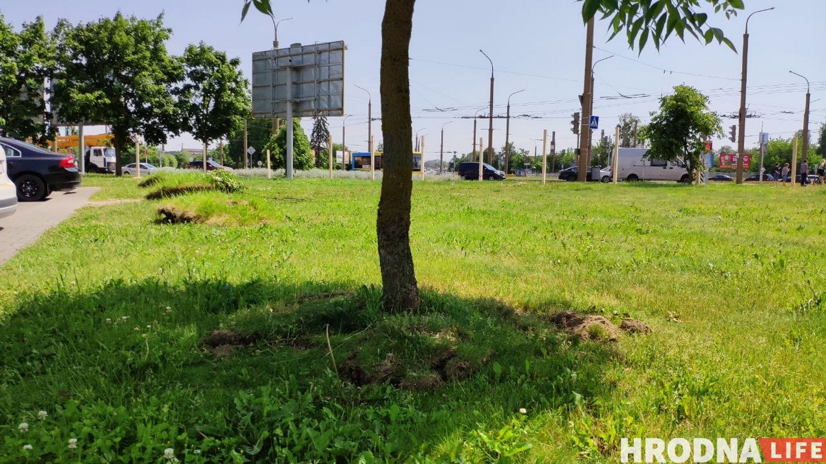 У Гродне з'явіцца Mcdonald's. Ужо рыхтуюць будоўлю