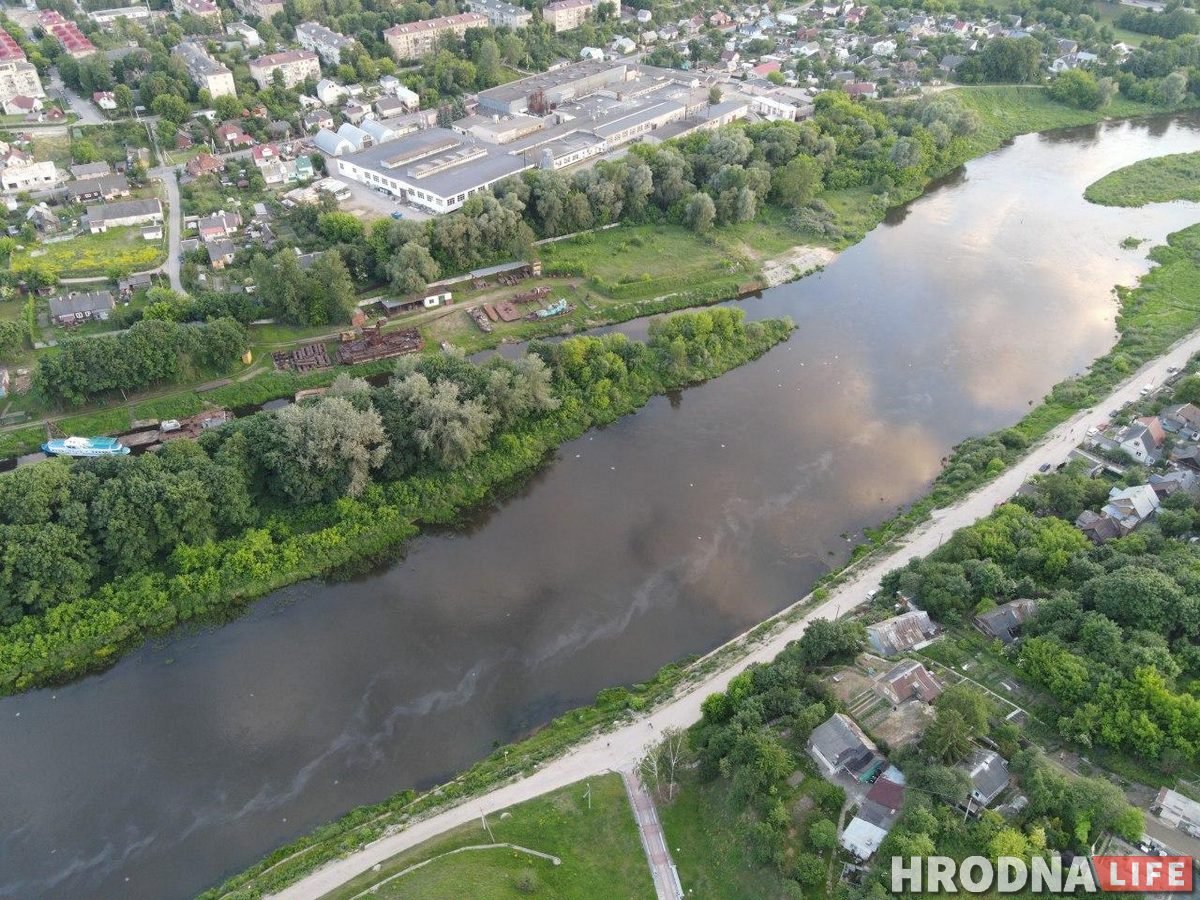 Мор рыбы ў Нёмане: глядзіце, якія плямы на рацэ зняў чытач Hrodna.life