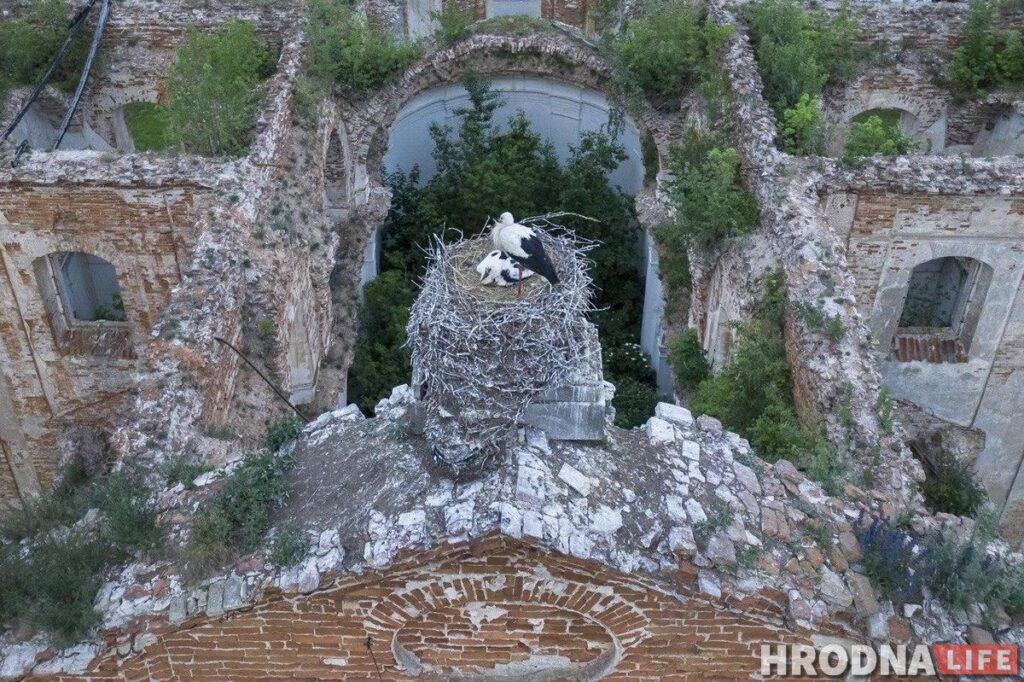 Берестовица - почти Краков, а Репля - красивее Москвы. Что посмотреть за день в окрестностях Гродно
