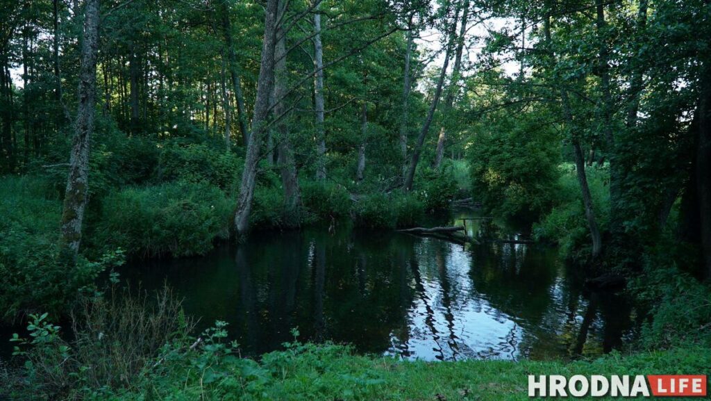 Горад Ларысы Геніюш, радзіма беларускіх немцаў і сядзіба, дзе гасцяваў Напалеон. 10 месцаў паміж  Свіслаччу і Зэльвай – за 1 дзень