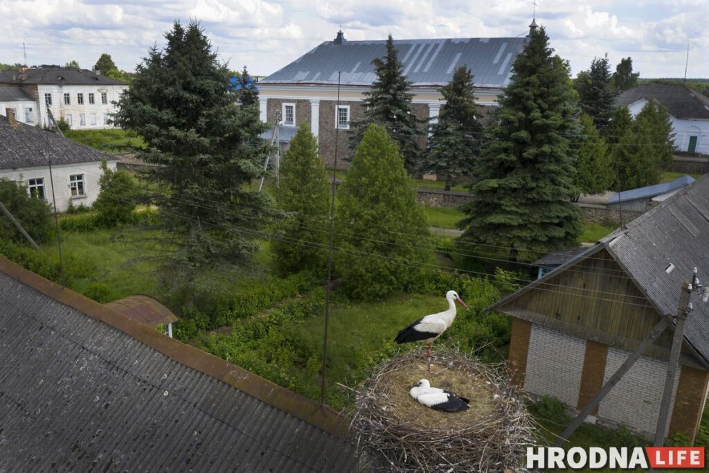Каліноўскі, скарб Талочкаў і кавалачак Брэстчыны: 10 месцаў паміж  Свіслаччу і Зэльвай – за 1 дзень