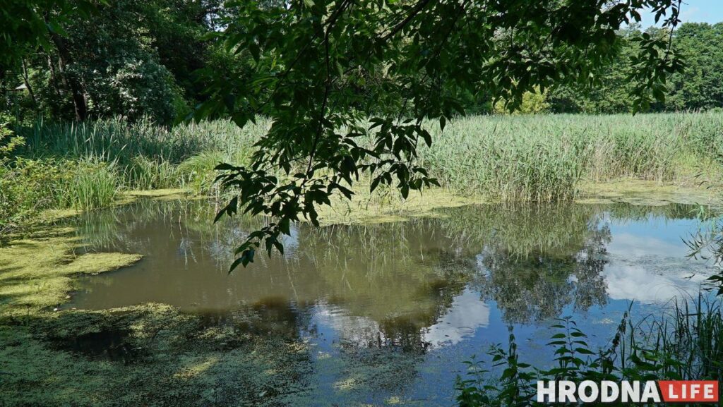 Каліноўскі, скарб Талочкаў і кавалачак Брэстчыны: 10 месцаў паміж  Свіслаччу і Зэльвай – за 1 дзень