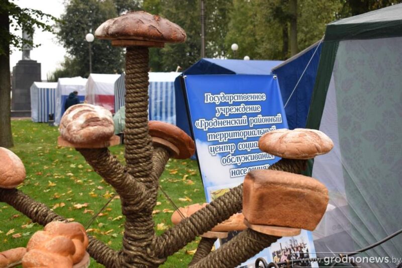 Рыбалка в фонтане, капустный боулинг и “Сахарные игры”: интересные моменты с Дожинок в Скиделе