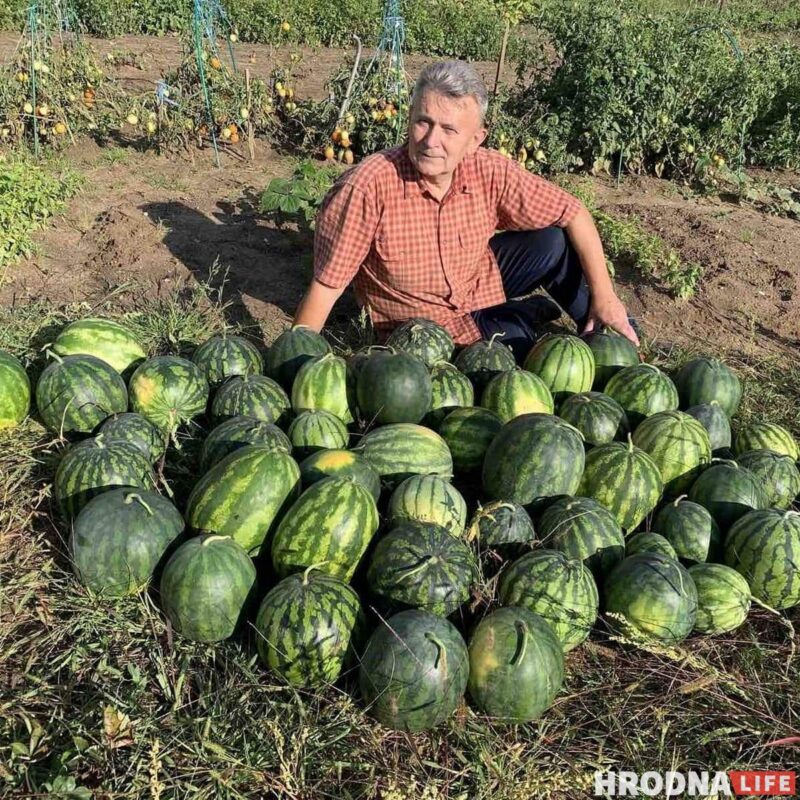 Байкі з лецішча і рэцэпты нарыхтовак ад Міколы Таранды