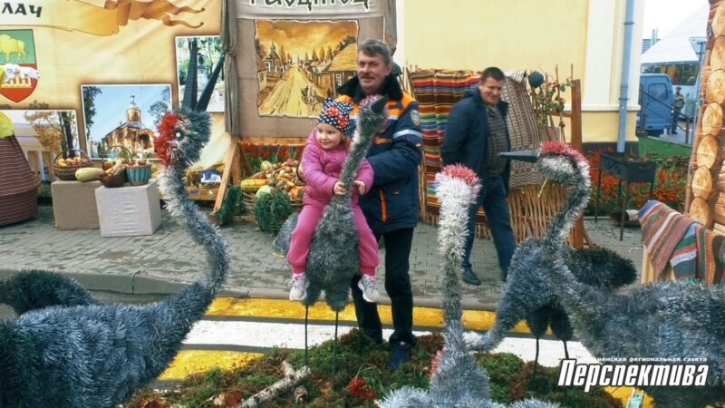 Рыбалка в фонтане, капустный боулинг и “Сахарные игры”: интересные моменты с Дожинок в Скиделе