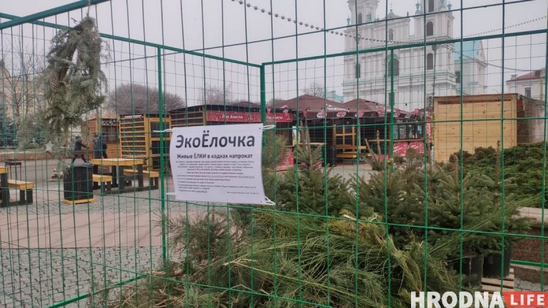 Не продают, а только показывают. На Советской в Гродно работает необычный елочный базар