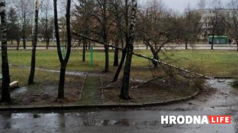 На Горновых с Mcdonald’s сорвало крышу, а на Горького фонарь упал на автомобиль. Что еще пострадало в Гродно от мощного ветра