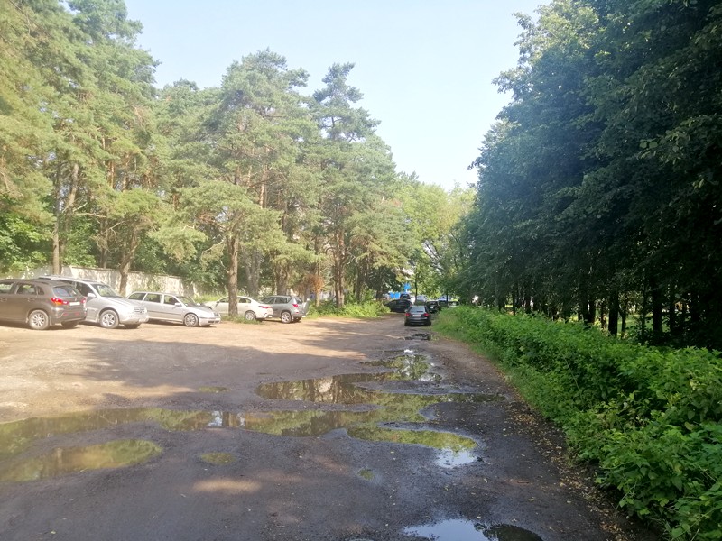 Минский бизнесмен приобрел участок у Пышков за 25 000 рублей: там появится бизнес-центр или ресторан