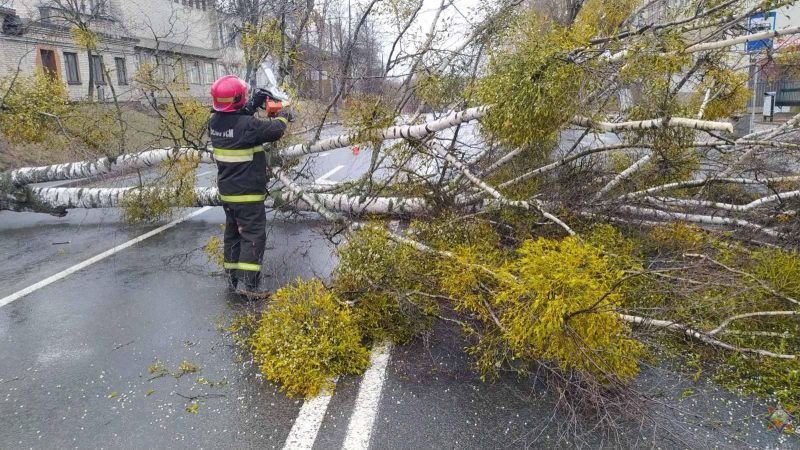 Пострадали 19 населенных пунктов: смотрите фото, что сильный ветер повредил в Гродненской области за выходные
