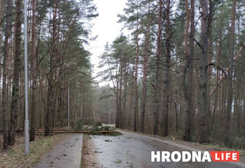Без электрычнасці засталося восемь населеных пунктаў. Што моцны вецер яшчэ пашкодзіў на Гродзеншчыне