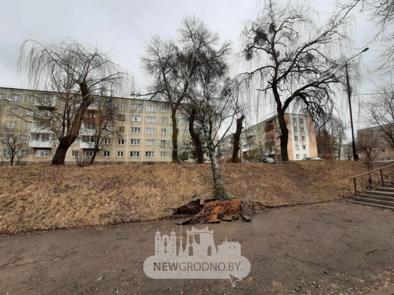 Без электрычнасці засталося восемь населеных пунктаў. Што моцны вецер яшчэ пашкодзіў на Гродзеншчыне
