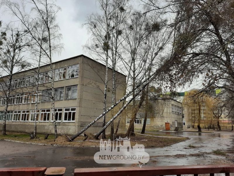 Без электрычнасці засталося восемь населеных пунктаў. Што моцны вецер яшчэ пашкодзіў на Гродзеншчыне