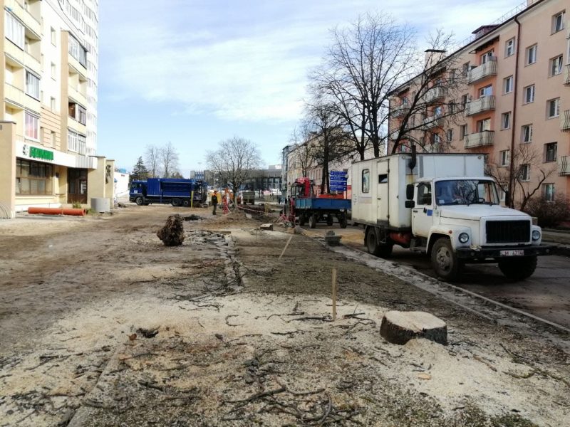 На Ажэшкі спілавалі старыя каштаны. Ці высадзяць замену?