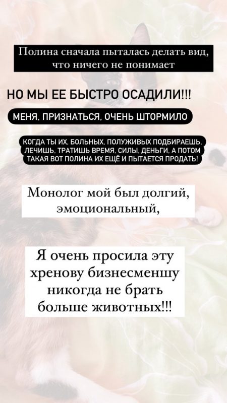 Узяла бясплатна, спрабавала прадаць як пародзістую. Як гродзенка спрабавала зарабіць на котцы