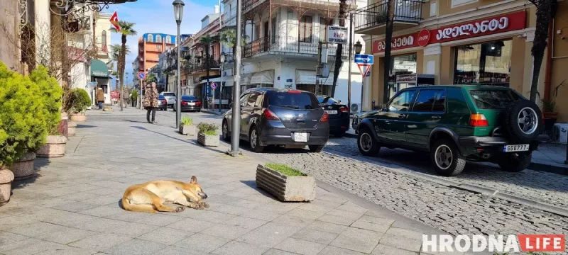 Падарожжы на вясну: 5 месцаў, што варта наведаць проста зараз з візай альбо без