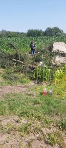 У Стрыеўцы зруйнавалі помнік загінулым польскім жаўнерам. Гэта ўжо пяты выпадак у Гродзенскай вобласці