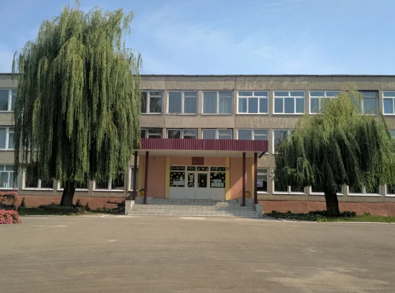 В гимназии №5 во время уроков умерла 12-летняя девочка
