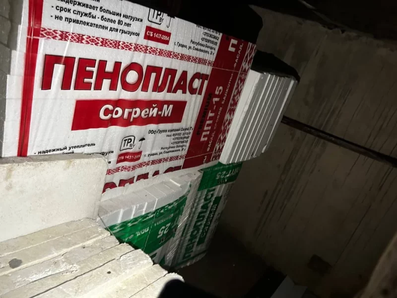 Выкопал более 100 туй. В Гродно задержали мужчину, который 8 лет похищал деревья