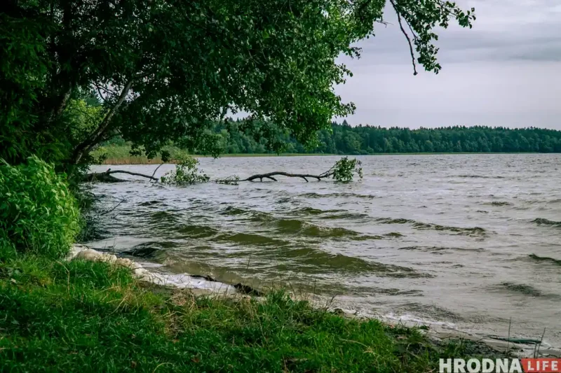 Пакупацца і не атрымаць штраф: карта дазволеных пляжаў у Гродне і Гродзенскай вобласці 2025 (абноўлена)