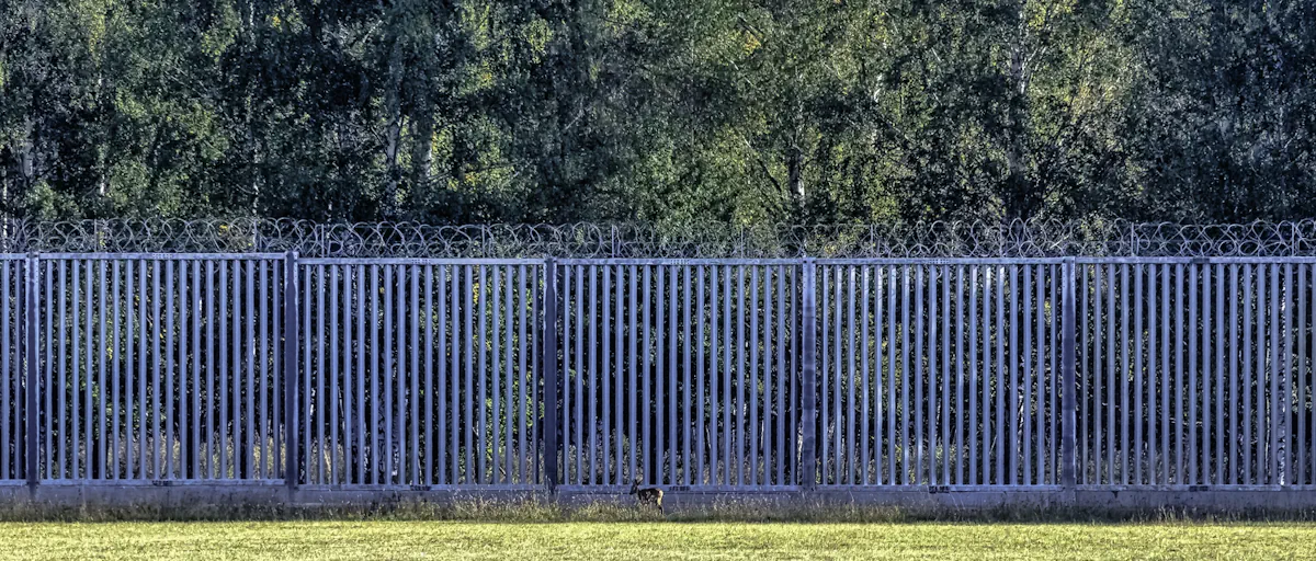 Агароджа на мяжы Польшчы і Беларусі. мяжа. нелегальная міграцыя. мігранты