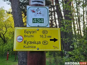 Пайсці па грыбы і не апынуцца ў Літве. З'явіўся бот для праверкі памежнай зоны