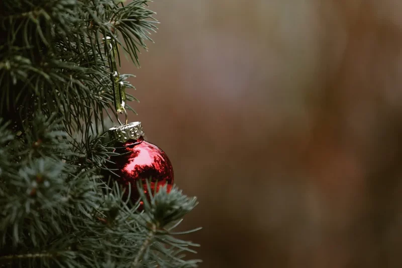 ялінкавыя кірмашы ў гродне