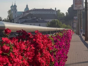 кветкі на старым мосце